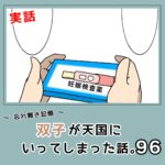 -忘れ難き記憶-「双子が天国にいってしまった話96」