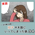 -忘れ難き記憶-「双子が天国にいってしまった話94」