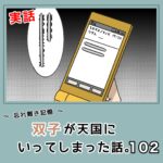 -忘れ難き記憶-「双子が天国にいってしまった話102」