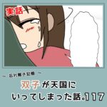 -忘れ難き記憶-「双子が天国にいってしまった話117」