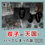 -忘れ難き記憶-「双子が天国にいってしまった話181」