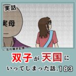 -忘れ難き記憶-「双子が天国にいってしまった話183」