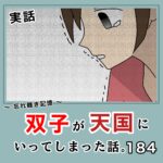 -忘れ難き記憶-「双子が天国にいってしまった話184」