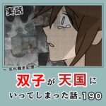 -忘れ難き記憶-「双子が天国にいってしまった話190」