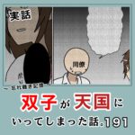 -忘れ難き記憶-「双子が天国にいってしまった話191」