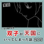 -忘れ難き記憶-「双子が天国にいってしまった話205」