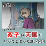 -忘れ難き記憶-「双子が天国にいってしまった話220」