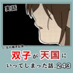 -忘れ難き記憶-「双子が天国にいってしまった話243」