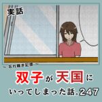 -忘れ難き記憶-「双子が天国にいってしまった話247」