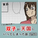 -忘れ難き記憶-「双子が天国にいってしまった話250」