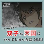 -忘れ難き記憶-「双子が天国にいってしまった話255」