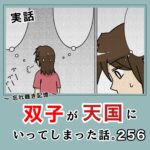 -忘れ難き記憶-「双子が天国にいってしまった話256」