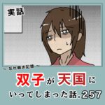 -忘れ難き記憶-「双子が天国にいってしまった話257」